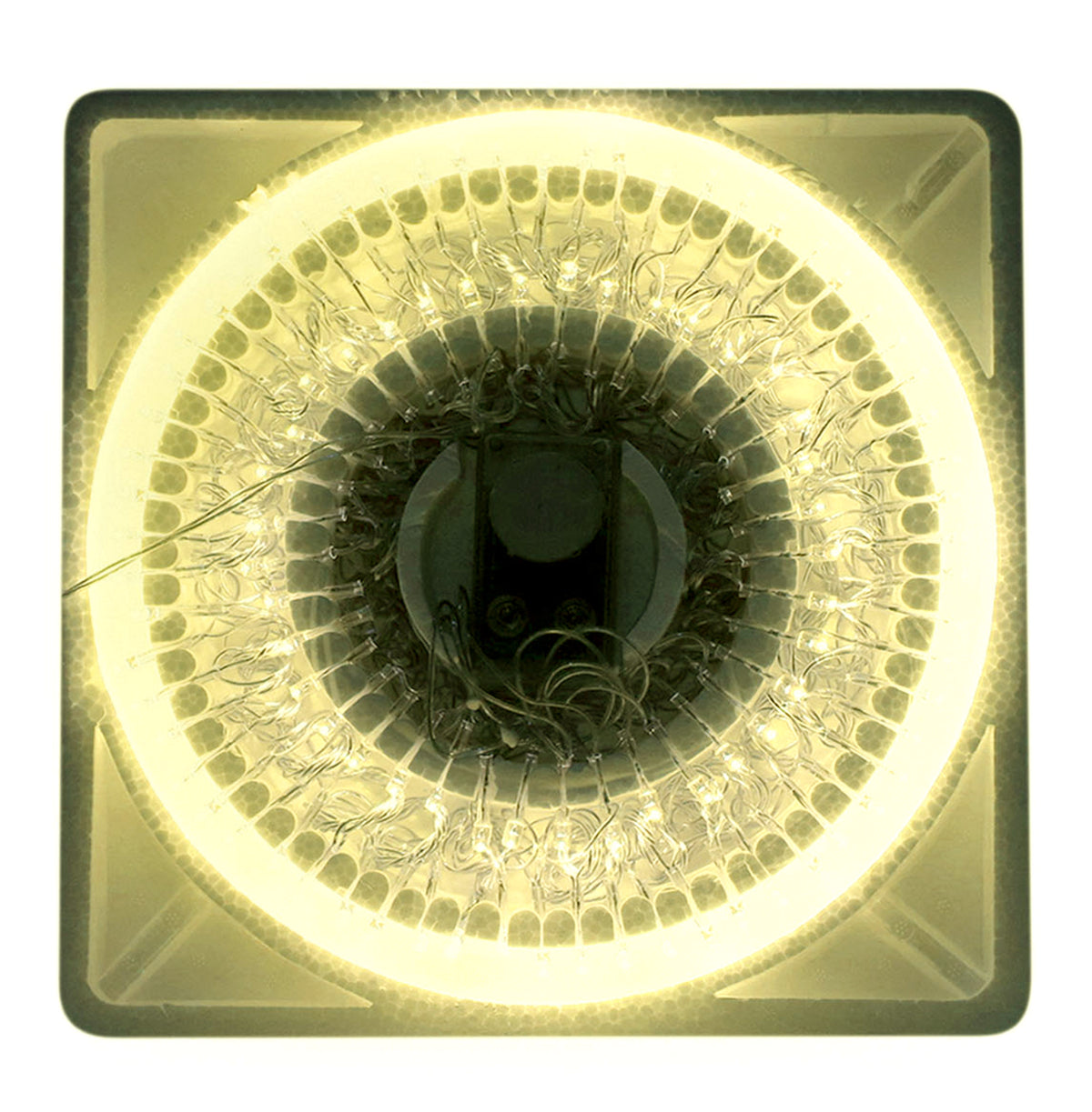 100 LED CALIDA MAGICA MUSICAL 6.55MTS