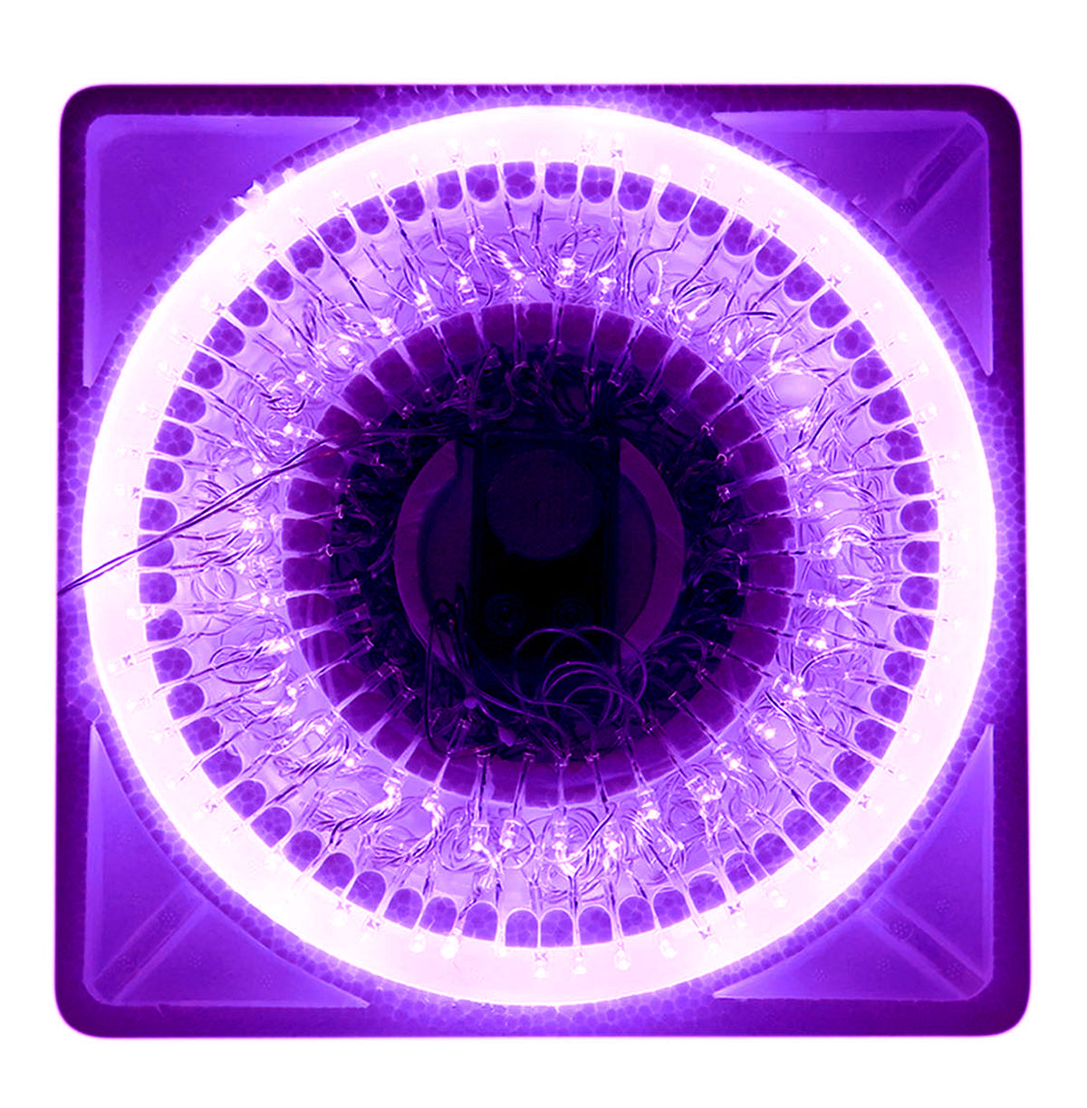 100 LED MORADA MUSICAL 4.58 MTS