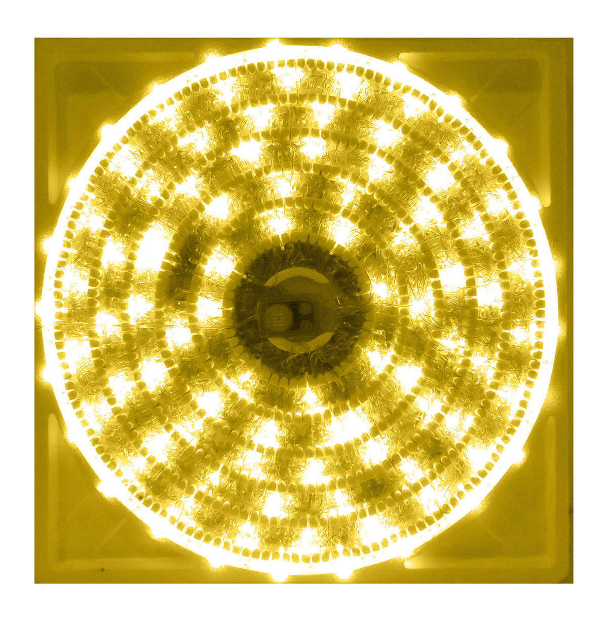 700 LED LUZ CALIDA MUSICAL 33.55MTS