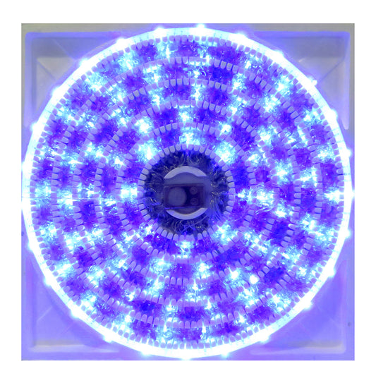 LED 600 MULTICOLOR MUSICAL CABLE CRISTAL 26.4 MTS